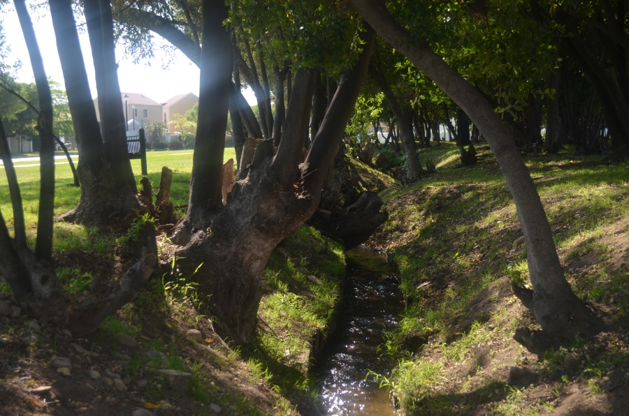 3 Bedroom Property for Sale in Heritage Park Western Cape